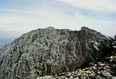 g2/51/659951/3/65533635.1SeSPbYc.jpg