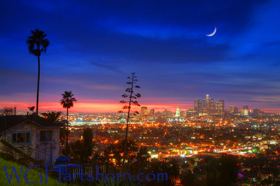 Los Angeles Moonlight