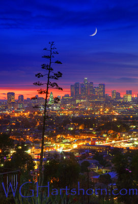 Los Angeles Moonlight