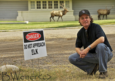 Do Not Approach Elk