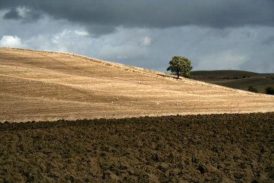 g2/51/705551/3/148684037.r0SfSMyM.jpg