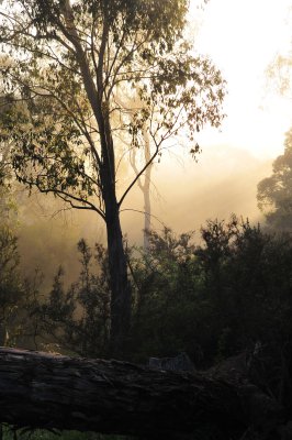 Dawn at Dogman's hut