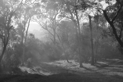 Dawn at Dogman's Hut