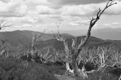 Mt GibboVictoria