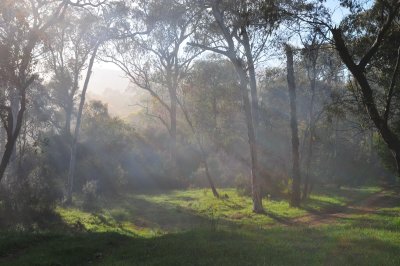 From Dogman's Hut looking towards the Murray River