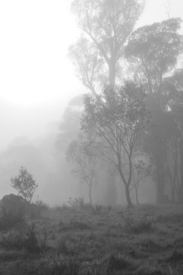 DSC_6535.jpg
