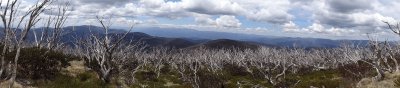 Mt Gibbo