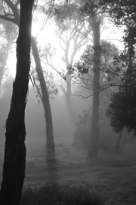 DSC_6526.jpg