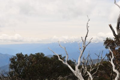 From Pinnibar to Mt KOSCIUSZKO