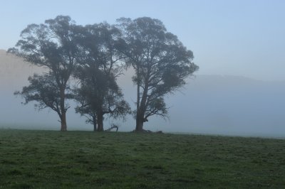 DSC_6506.jpg