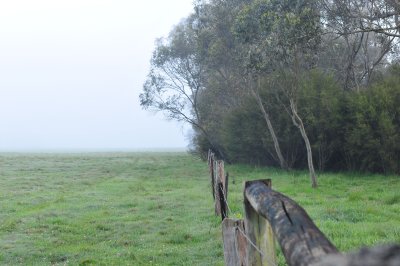 DSC_6507.jpg