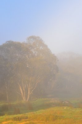 DSC_6542.jpg