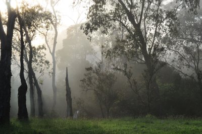 Dogman Hut dawn