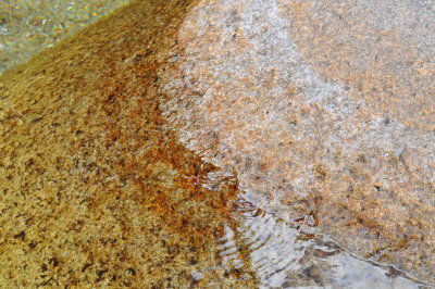 DSC_6036.JPG