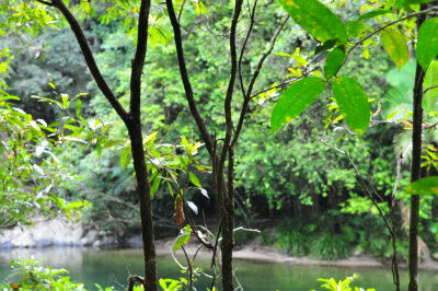 DSC_6079.JPG