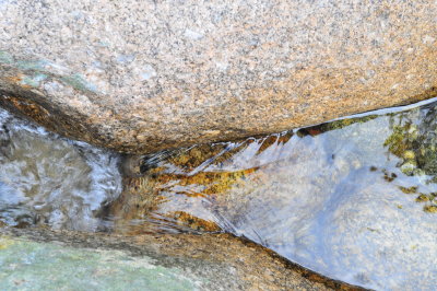 DSC_6046.JPG