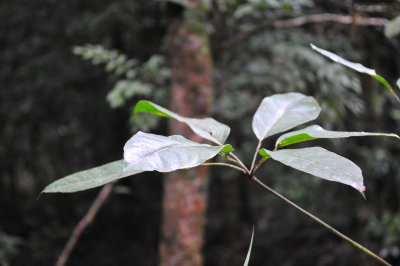 DSC_6061.JPG