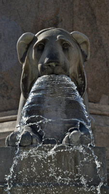 Lion fountain