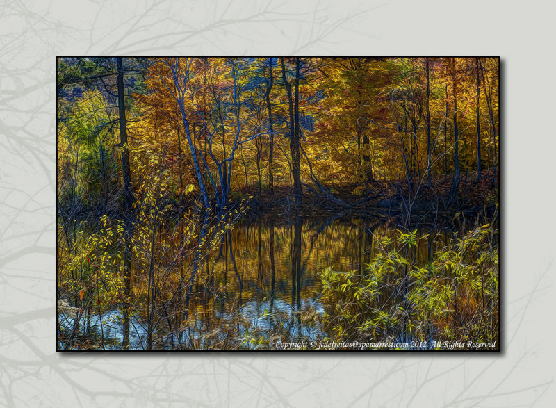 2012 - Digital Paintng - Autumn Colours - Moccasin Park - Toronto, Ontario - Canada