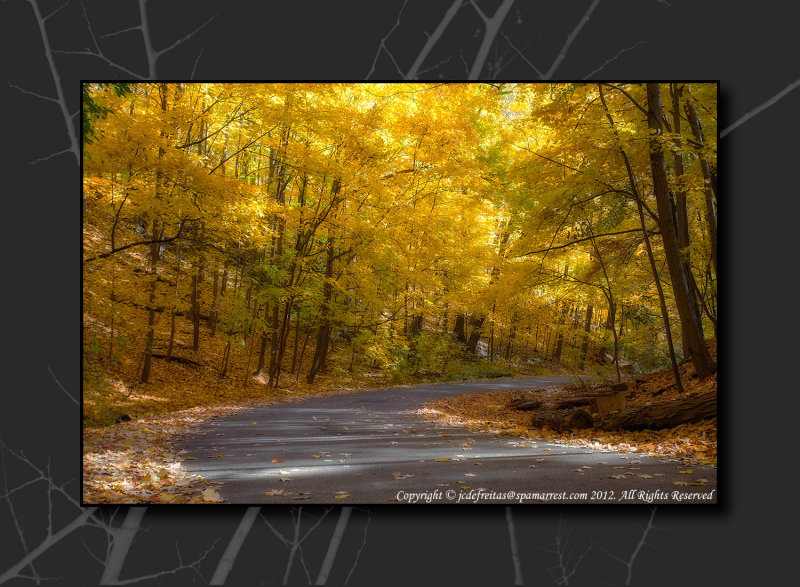 2012 - Autumn Colours - Moccasin Park - Toronto, Ontario - Canada 