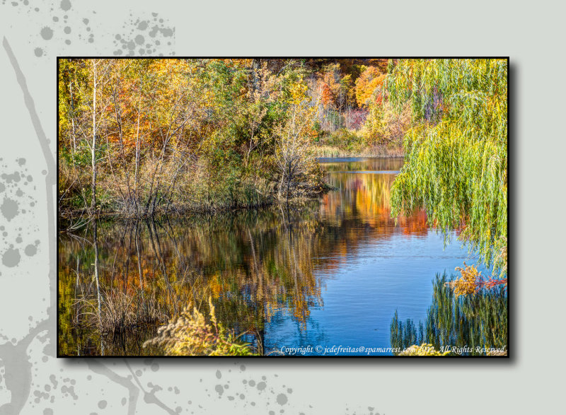 2012 - Autumn Colours - Moccasin Park - Toronto, Ontario - Canada 