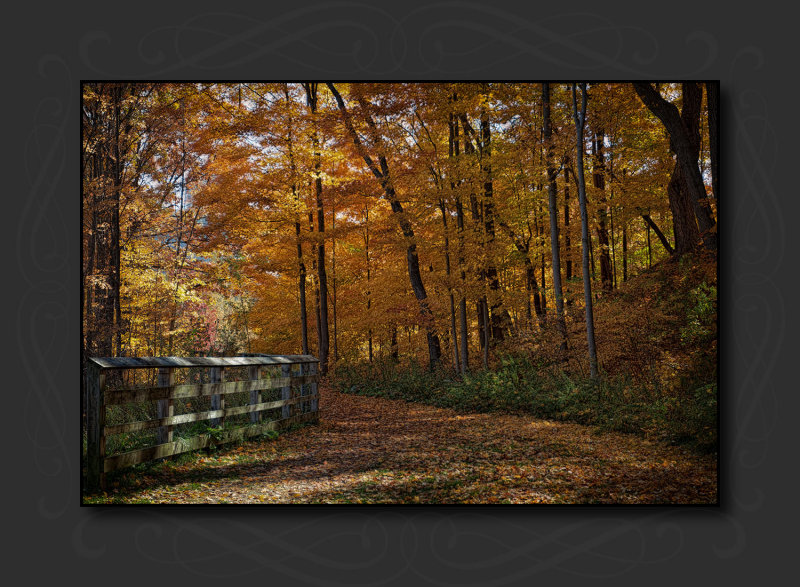 2012 - Autumn Colours - Moccasin Park - Toronto, Ontario - Canada