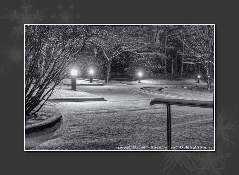 2013 - Snow Fall at Highgate, Toronto - Canada - B&W