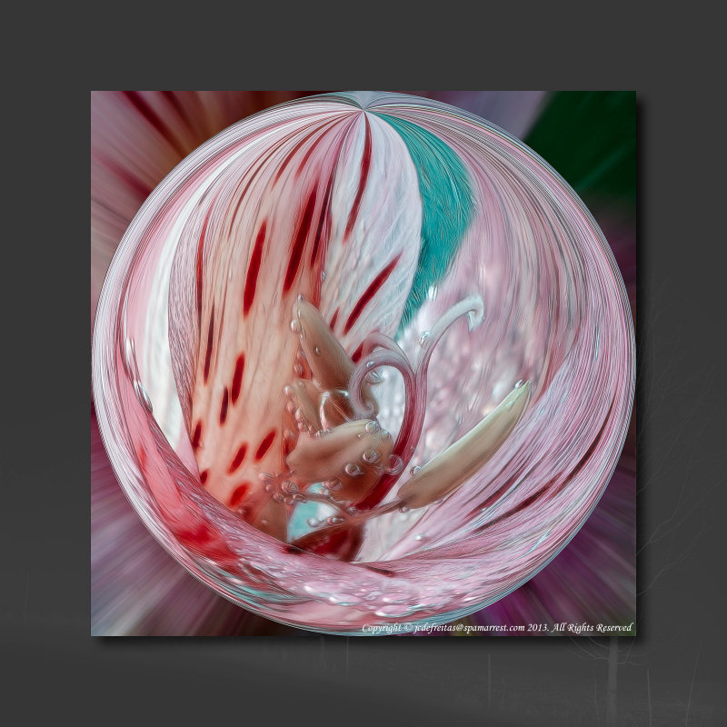 2013 - Frozen Marble