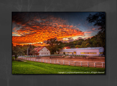 2011 - Sunnybrook Park Stables