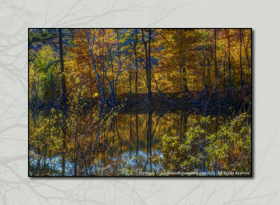 2012 - Digital Paintng - Autumn Colours - Moccasin Park - Toronto, Ontario - Canada