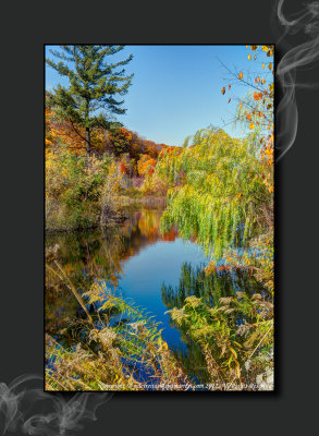 2012 - Autumn Colours - Moccasin Park - Toronto, Ontario - Canada 