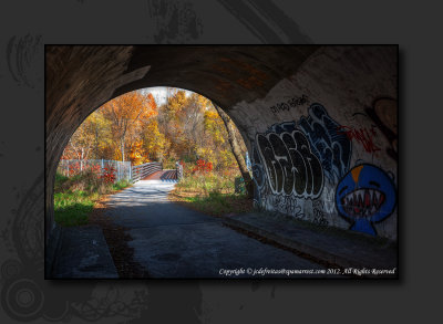 2012 - Autumn Colours - Moccasin Park - Toronto, Ontario - Canada 