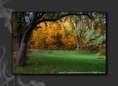 2012 - Autumn Colours - Moccasin Park - Toronto, Ontario - Canada