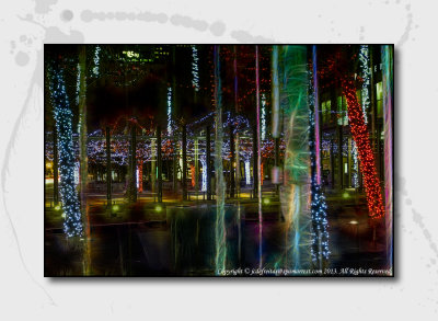 2012 - Yorkville Festive Season Lights - Toronto, Onatrio - Canada
