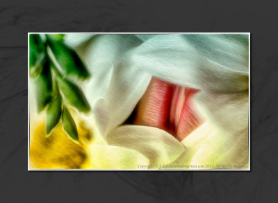 2013 - Tulip & Shasta Daisies - Digital Art