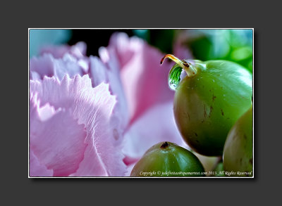 2013 - Bring on the Rain - Lensbaby, Macro