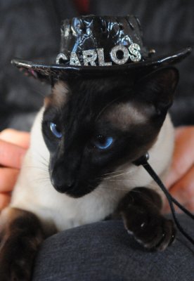 Carlos
