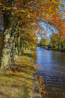 Autumn Colour