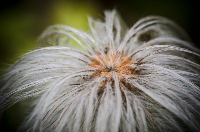 Batsford 3