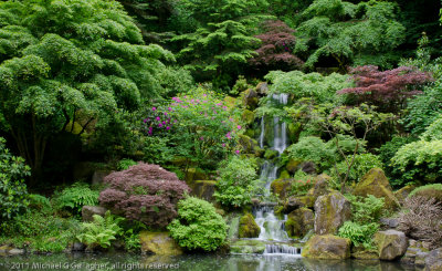 Pacific NorthWest 2011