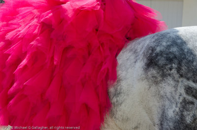 Photos: Arles