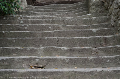 BonxWornSteps_DSC6577.jpg