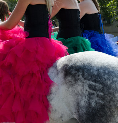 Photos: Arles
