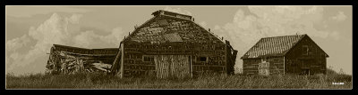 collapsed barn-2.jpg