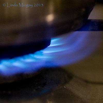 9th March 2013 - cooking with gas - for the moment!