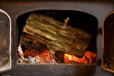 4th April 2013 - the big log