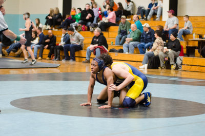 REF_7059.jpg