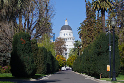 Northern CA 2013