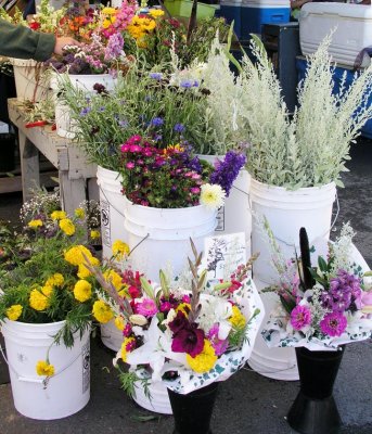 Flowers at the Olympia Farmer's Market