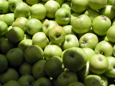 Apples at the Olympia Farmer's Market